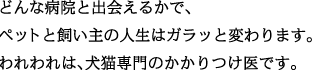 �L���b�`�R�s�[